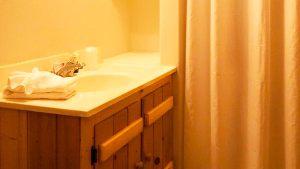 1 Queen Bed, Sleeper Couch in the Lodge Photo 5